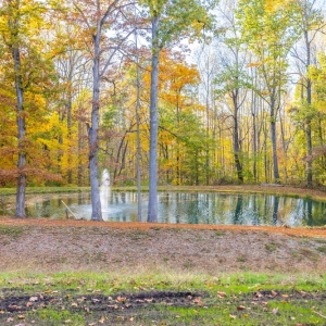 Fishing Pond