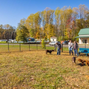 Dog Park