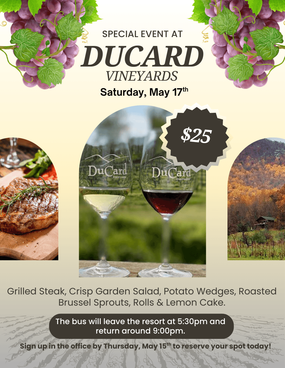 Ducard Vineyards 1