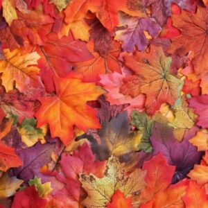 November 2