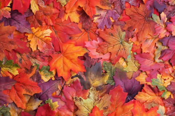 November 2