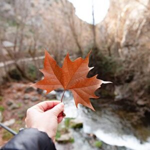 November