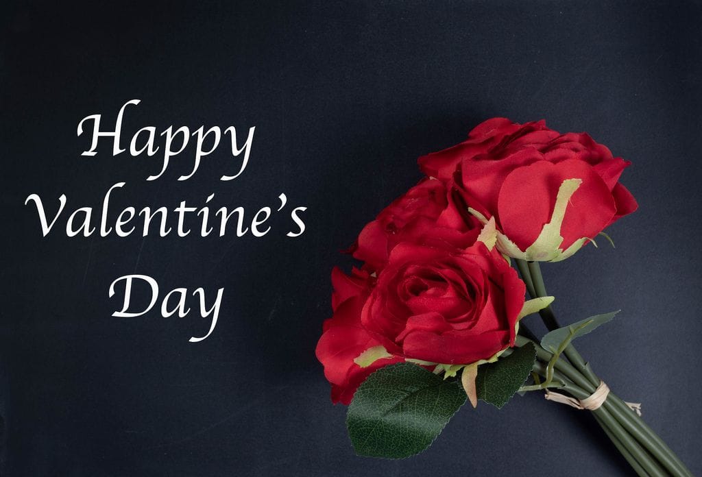 happy valentines day with red roses on black background